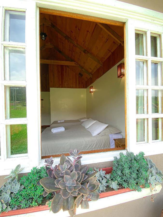 Pousada Rural Pavao - Suites E Chales Urubici Eksteriør billede